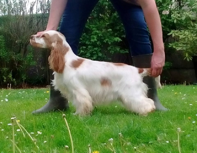 Lola du clos Renaud